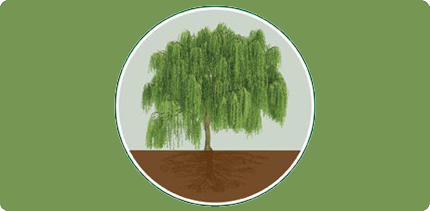 Willowsong